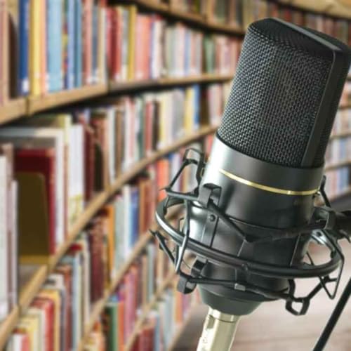 EMISSION LITTERAIRE "PLUS DE LIVRE SPECIAL THEATRE 12 FEVRIER 2026