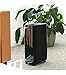 Cecotec Deshumidificador Bigdry 4000 Expert 2,5 L Negro