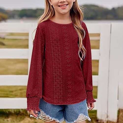 Long Sleeve Eyelet Tops for Girls Dressy Casual Crewneck Shirts Hollow Out Crochet Lace Blouses Fall Fashion Clothes 6-15T3