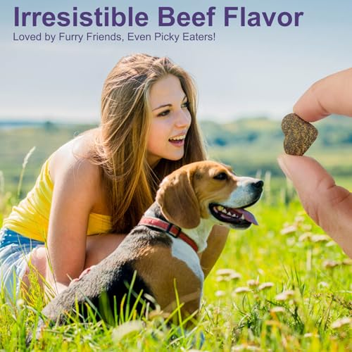 GMStahlei Hunde Allergie Kautabletten - Omega-3 Fischöl, Probiotika & pflanzliche Zutaten - Linderung bei saisonalen Allergien, juckender Haut & Ohren - Unterstützt Verdauung & Immunsystem - 300g