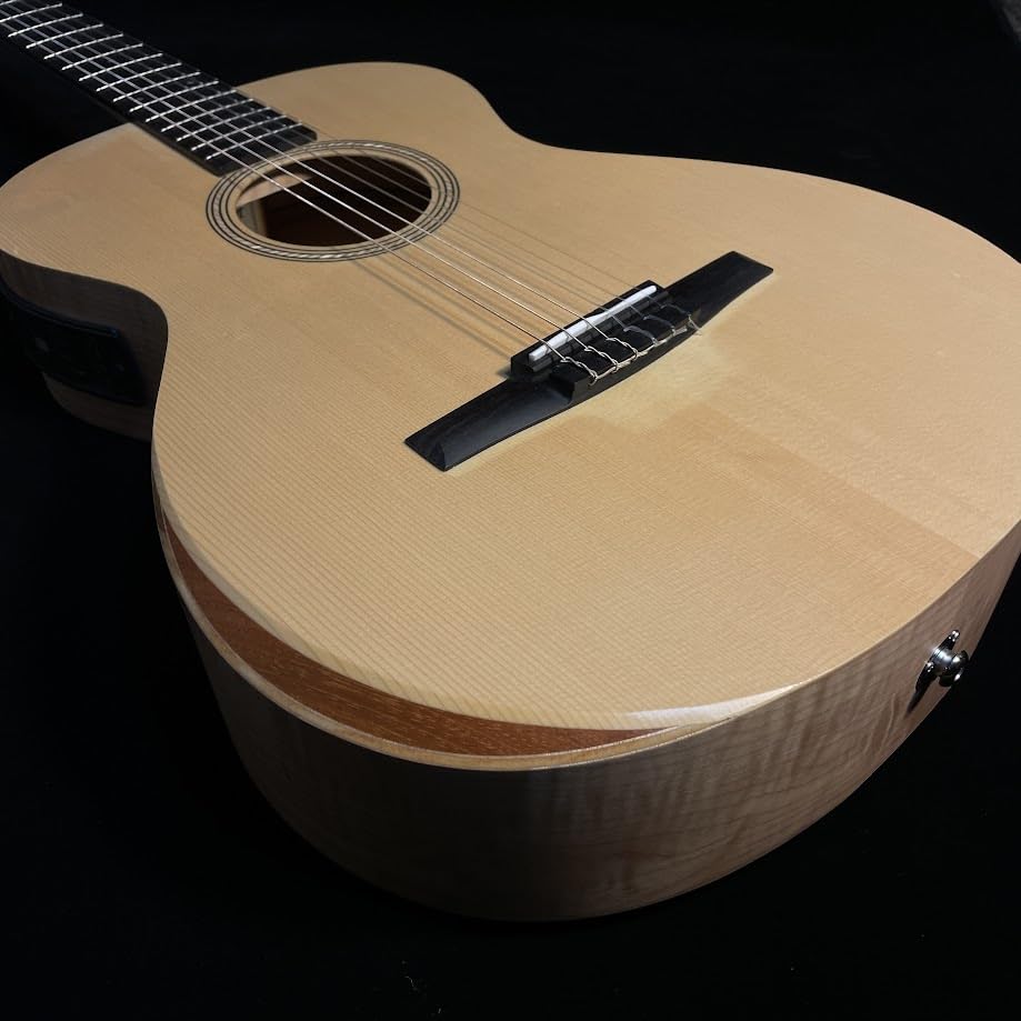 Amazon | Taylor LTD EG Academy 12e-N エレガットギター テイラー
