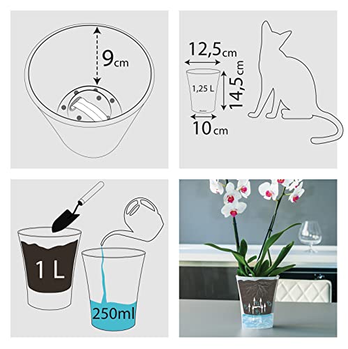 Orchideentopf-Set, 5 Transparente Töpfe Mit Untersetzern – 19 Cm, Für Gute Drainage & Luftzirkulation