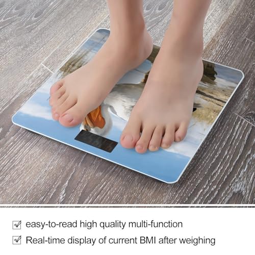 Báscula Digital LZQPOEAS Hasta 180 kg miniatura 5
