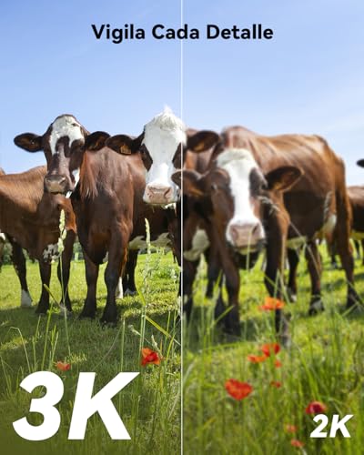 Imou 5MP Cámara Vigilancia 4G WiFi Dual, Grabación 24/7 AOV, Cámara Exterior Solar con Batería 10000mAh, Detección Humana/Vehículo, Visión Nocturna Color, Mode Privado, Incluye Sim y 32GB Tarjeta SD - imagen 3