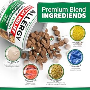 Dogallergyreliefchewsdogitchingskinrelieftreatmentpills170treatsantiitchitchyandpawlickinghotspotsomega3fishoildryskincoatsupplementbeefliverflavor Urban Country Home Decor Dog allergy relief chews dog itching skin relief treatment pills 170 treats anti itch itchy and paw licking hot spots omega 3 fish oil dry skin coat supplement beef liver flavor urban country home decor