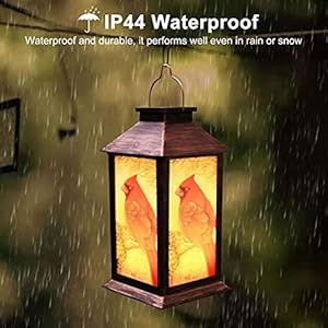 Solar Lanterns, Outdoor Hanging Lanterns Waterproof LED Solar Cardinal Lights Tabletop Lamp for Outdoor Patio Garden as Gifts for Mom Grandma Women Solar Lanterns Outdoor Hanging Lanterns Waterproof LED Solar Cardinal Lights Tabletop Lamp for Outdoor Patio Garden as Gifts for Mom Grandma Women