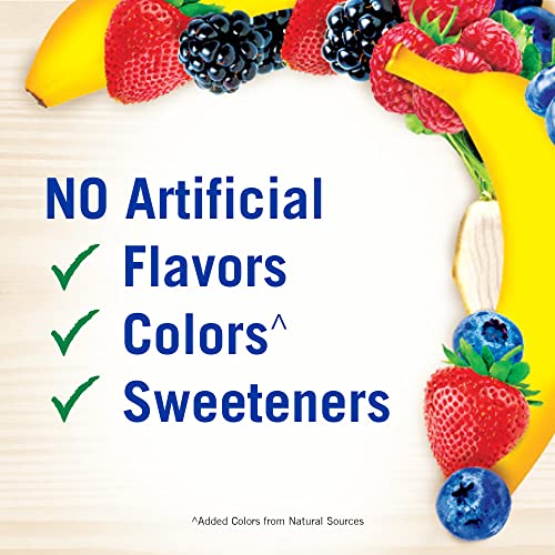 Fiber Choice Fruity Bites Daily Prebiotic Fiber Supplement Gummies, Mixed Berry, 90 Count #TOP4
