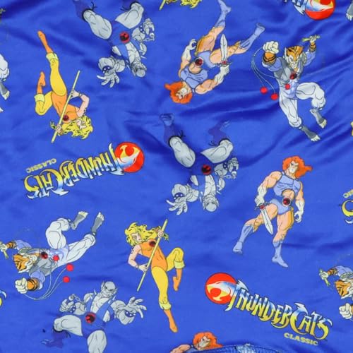 Thundercats Men's Boxer Briefs Classic Cartoon Lion-O Cheetara Tygra Panthro Underwear3