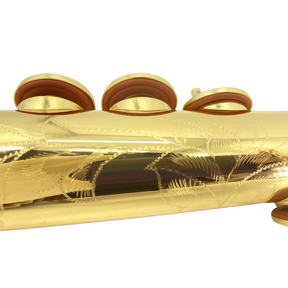 Saxophone soprano droit en laiton laqué doré avec coque naturelle pour débutants, ensemble combo avec étui de transport, gants, kit de nettoyage et sangles (doré)