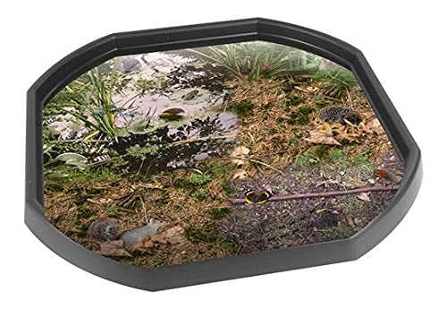 British Wildlife & Minibeasts 