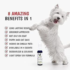 Warren-London-Wet-Kiss-Dog-Cologne-Long-Lasting-Dog-Spray-Dog-Deodorant-to-Remove-Odor-from-Stinky-Dogs-Papaya-Guava-2-Ounce-Bottle - Cucciolini Doodles   Warren-London-Wet-Kiss-Dog-Cologne-Long-Lasting-Dog-Spray-Dog-Deodorant-to-Remove-Odor-from-Stinky-Dogs-Papaya-Guava-2-Ounce-Bottle