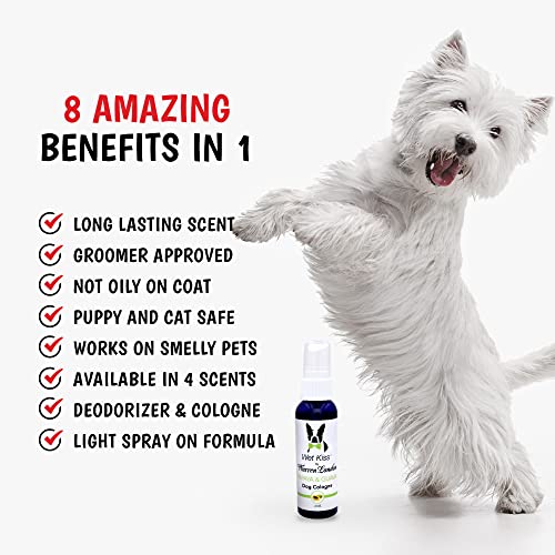 Warren-London-Wet-Kiss-Dog-Cologne-Long-Lasting-Dog-Spray-Dog-Deodorant-to-Remove-Odor-from-Stinky-Dogs-Papaya-Guava-2-Ounce-Bottle - Cucciolini Doodles   Warren-London-Wet-Kiss-Dog-Cologne-Long-Lasting-Dog-Spray-Dog-Deodorant-to-Remove-Odor-from-Stinky-Dogs-Papaya-Guava-2-Ounce-Bottle