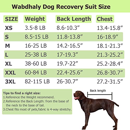 Wabdhaly Dog Recovery Suit,Female Spay Male Surgery Combed Cotton Onesie For Large Dogs,Blank Green L #TOP5