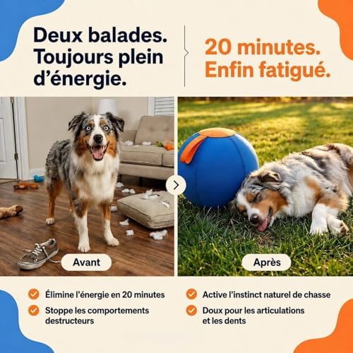 Balle interactive pour chien jouet interactif résistant MEIION intérieur