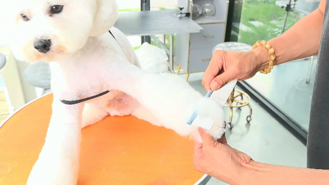 Pettine Professionale Groom In Alluminio 25cm - 80% Denti Radi E 20% Fitti Per Toelettatura Cani - Foto 7