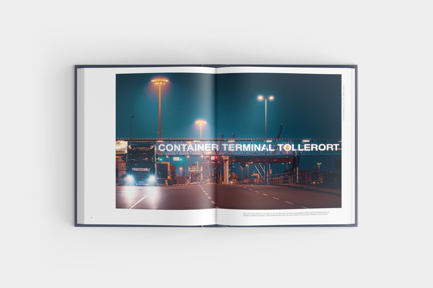 Der Hamburger: Das Buch der Stadt