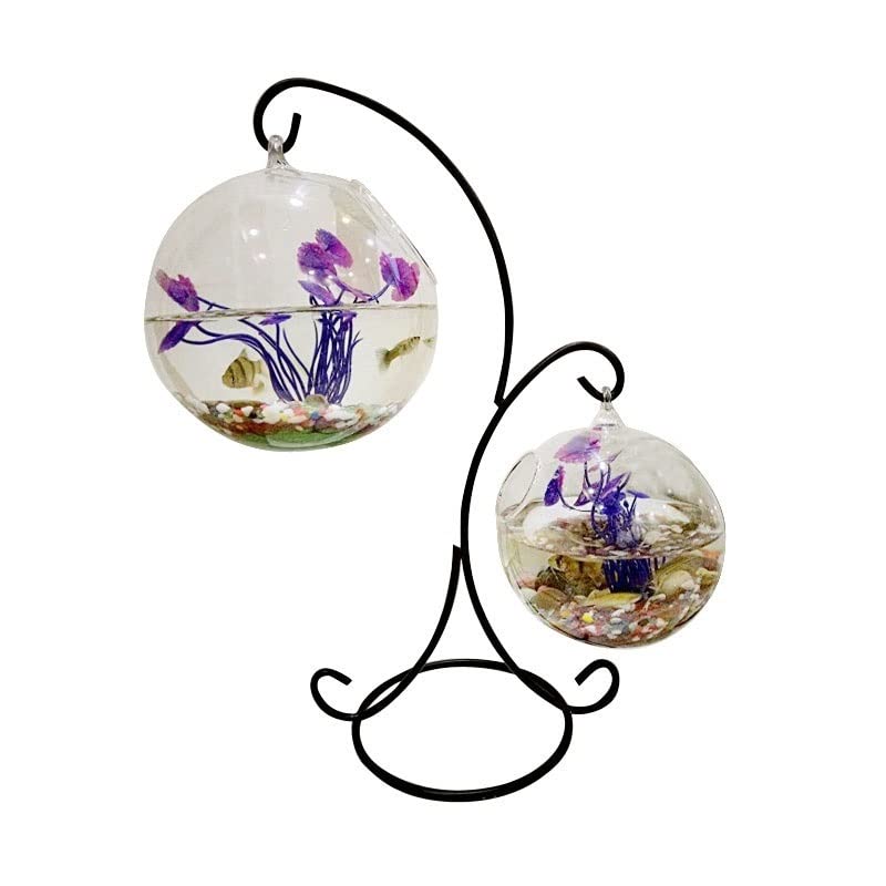 HIHELO Aquarium Bureau créatif Petit Aquarium écologique Rond en Verre Transparent en Verre Or Petit Aquarium