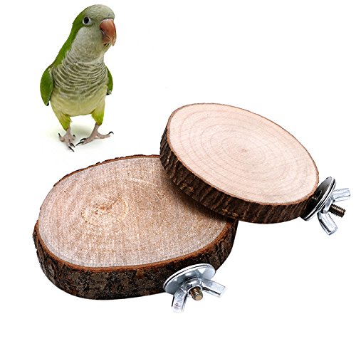 Qupida Parrot Stand Wooden Platform Board Toy Branch Perches for Pet Bird Cage (Unpolished)