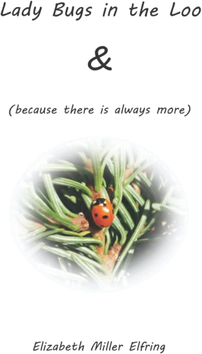 Lady Bugs in the Loo: & (because there is always more)