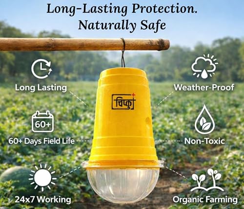 Image of Chipku Glass Trap with Melon Fly Lure for Garden & Farm Use to Control cucurbitae | Effective Pest Control for Melon Fly, Bottle Gourd & All Vegetables - Pack of 2