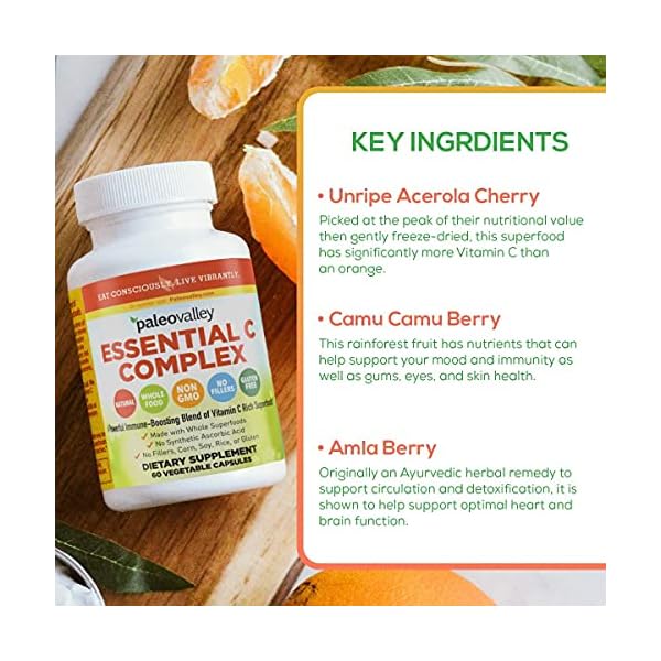 Paleovalley-Essential-C-Complex-Vitamin-C-Food-Supplement-with-Organic-Superfoods-for-Immune-Support-6-Pack-450-mg-per-Serving-No-Synthetic-Ascorbic-Acid-No-GMO-Fillers-or-Gluten Paleovalley Essential C Complex - Vitamin C Supplement for Immune Support - 6 Pack, 450mg - From Organic Superfoods Unripe Acerola Cherry, Camu Camu, Amla Berry - No Synthetic Ascorbic Acid - USA Made
