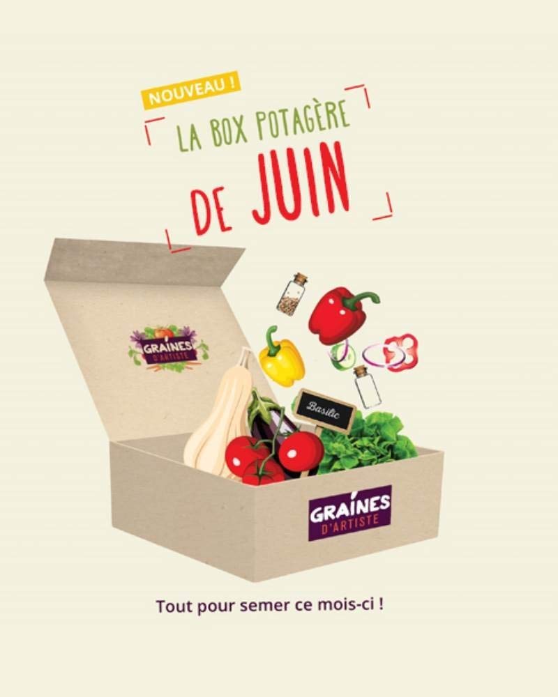 Coffret Cadeau de Jardinage // Box Potagère de Juin