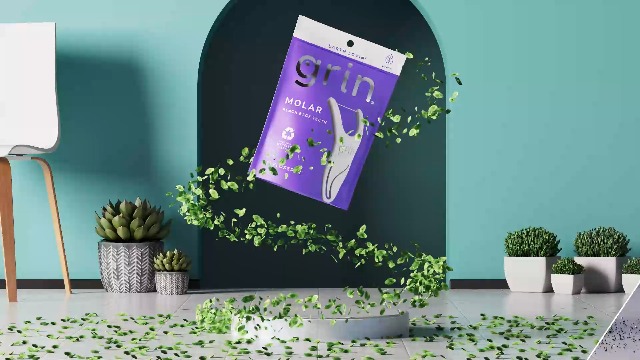 Amazon.com : GRIN Smooth Flosspyx, Gentle Floss Picks, 150 Count