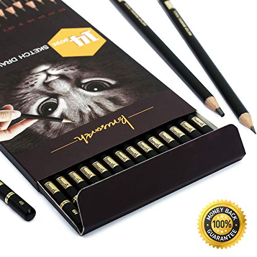 Brusarth Professional Drawing Sketching Pencil Set - 14 Pieces Graphite Pencils, Ideal For Drawing Art, Sketching, Shading, Artist Pencils For Beginners & Pro Artists #TOP2