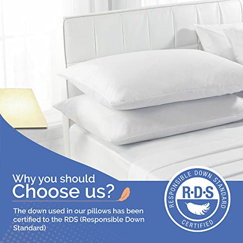 Continental Bedding CB1090-S.NEW White Goose Down Feather Pillow Down Pillows Standard Size Set Of 2 20X26 Inch 34 Oz Luxury Hotel Pillows thumb #3