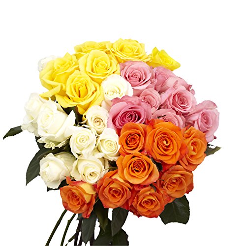 100 Assorted Roses- Fresh Flowers- 4 Colors- Next Day Delivery By Thursday March 9Th #TOP2