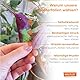 WALPLUS 12 Stück Kolibri Fensterabziehbilder Selbstklebende Antikollisions-Vogelschutz-Aufkleber für Fenster Statische Schmetterlinge, Blumen und Vögel Fensteraufkleber für Vogelschlagschutz