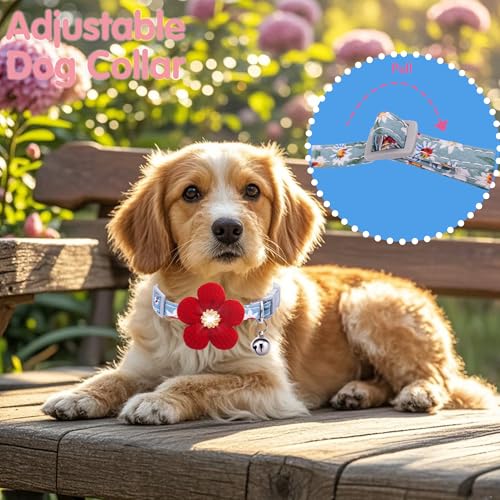 Small Dog Collar with Flower, Cute Dog Collars for Small Dogs with Bell - image 5