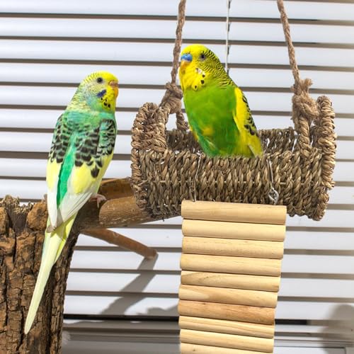 Image of Rainmae Hideout or Climbing Toy for Small Breeds, Wood Pet Activity Structure for Hermit Crab, Hamsters, Rats, Birds, Guinea Pig, Gerbil, Ferret