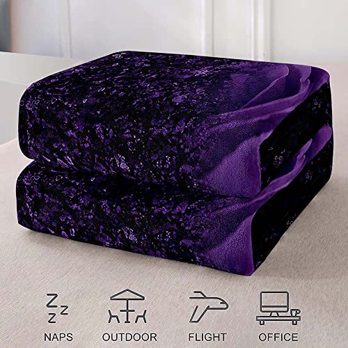 Luvivihome Purple Rose Blanket, Romantic Flower Broken Floral Throw Blanket, Cozy Soft Lightweight Fluffy Fuzzy Warm Flannel Fleece Blanket For Couch, Sofa, Valentine's Day Gifts For Women, 40"X50" #TOP4