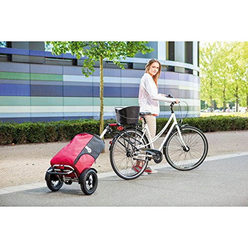 Andersen Shopper Kupplung BigEasy (R1) am Fahrrad Rahmen | ohne Schloss