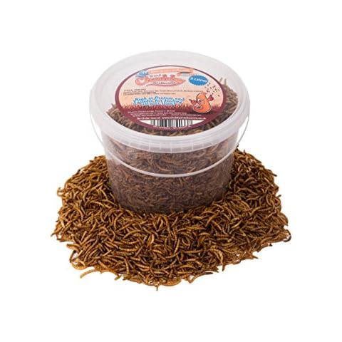 3 Litre Tub Chubby Dried Mealworms for Wild Birds Cover