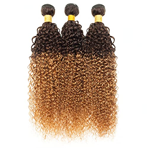 Ombre Brazilian Curly Hair 3 Bundles Brazilian Remy Virgin Human Hair Weave Bundles 100% Unprocessed Kinky Curly Human Hair Extensions T4/30 Medium Brown/Medium Auburn(16 18 20)