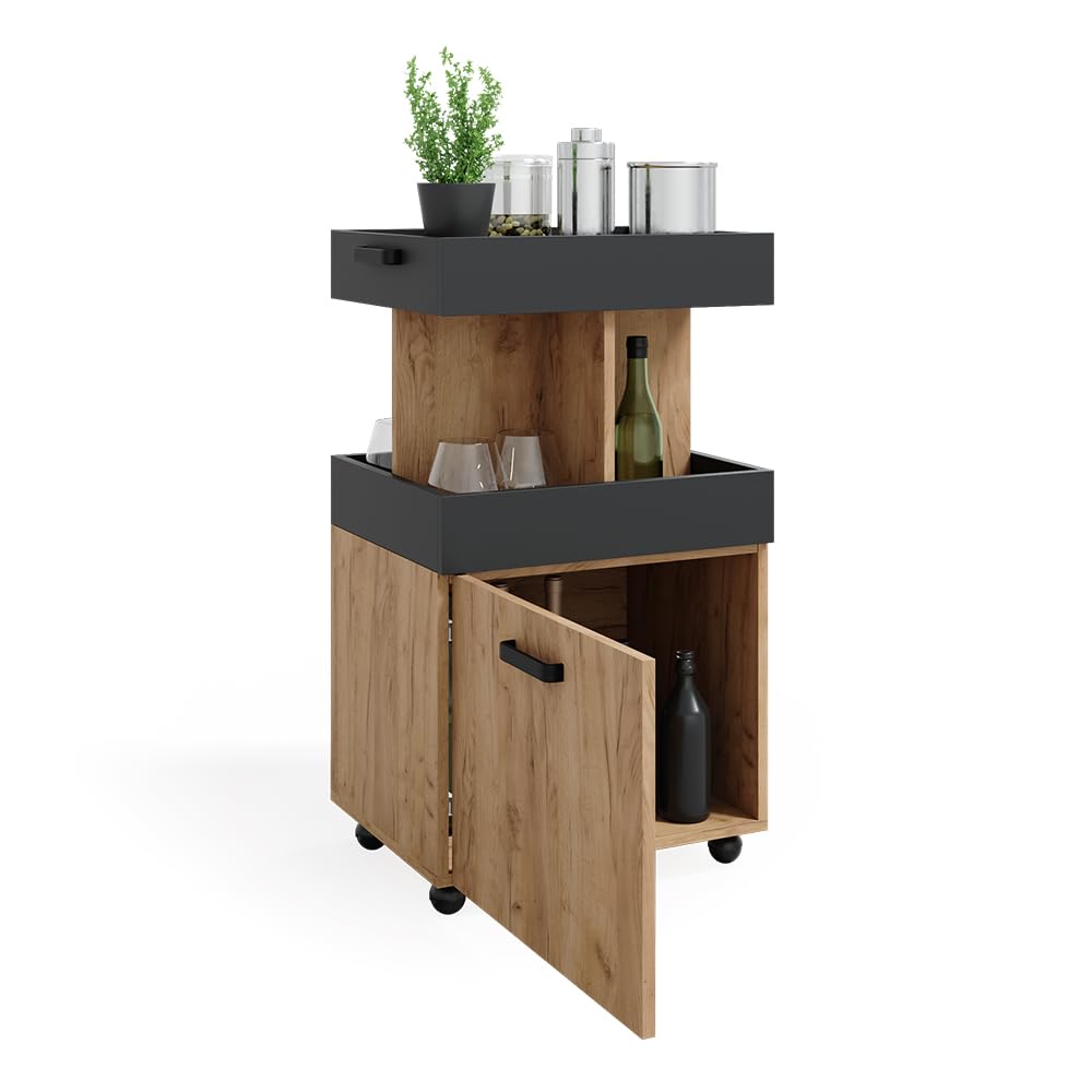 Vicco Hausbar Minibar Getränkebar Kamber Tür rollbar Ablage Fach Regal