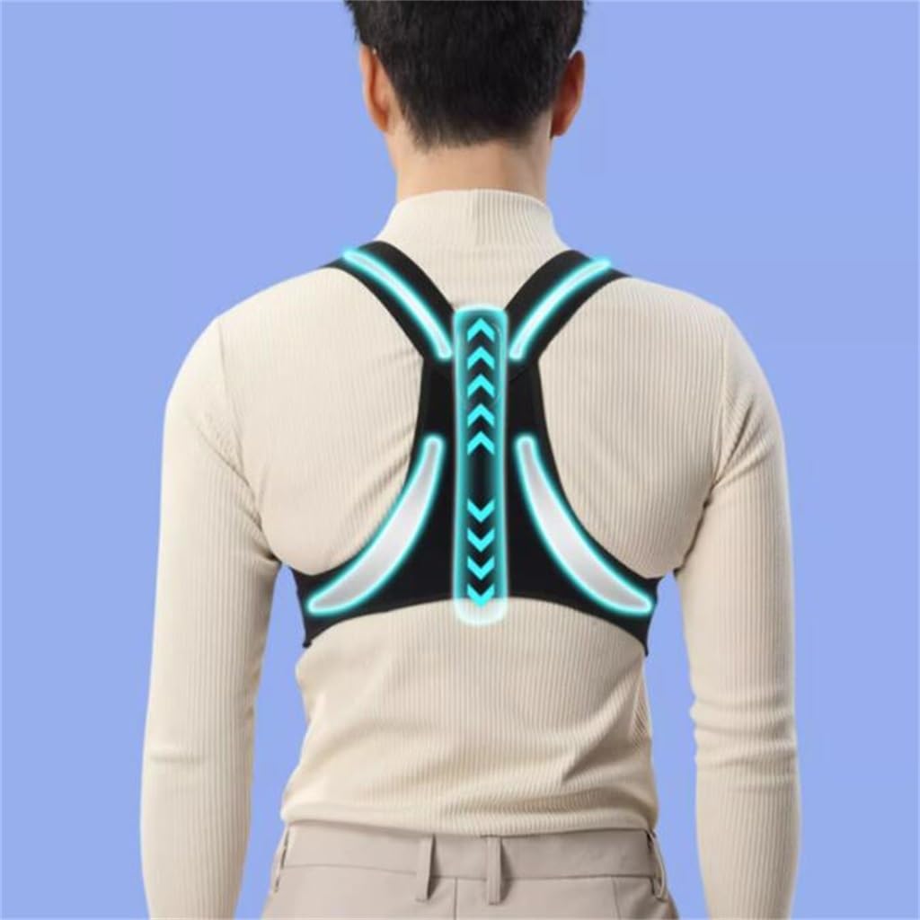 ブラヘアアルマータ 6号ポットつき 4株セット❗ ① ブラヘアアルマータ