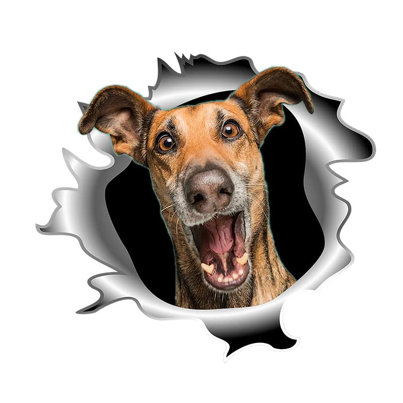 Autocollant 3D Chien Rieur Amovible et Sticker Imperméable pour Réfrigérateur