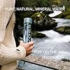 VOSS Still Water, Pack of 24 x 500ml PET Bottles, Natural Mineral Water #2