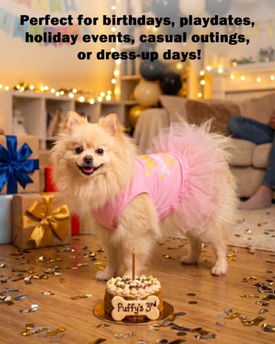 Image of CuteBone Pink Happy Birthday Pet Tutu Dress - Crown Puppy Birthday Costume - Small Dog Clothes Cat Princess Party Outfit SRQ03M