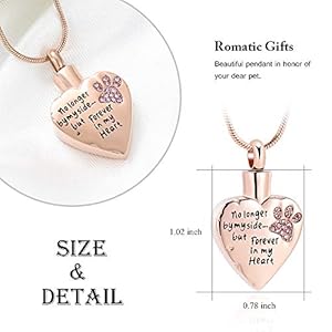 memorial jewelry No Longer by My Side,But Forever in My Heart Carved Locket Cremation Urn Necklace for Pet Dog Cats