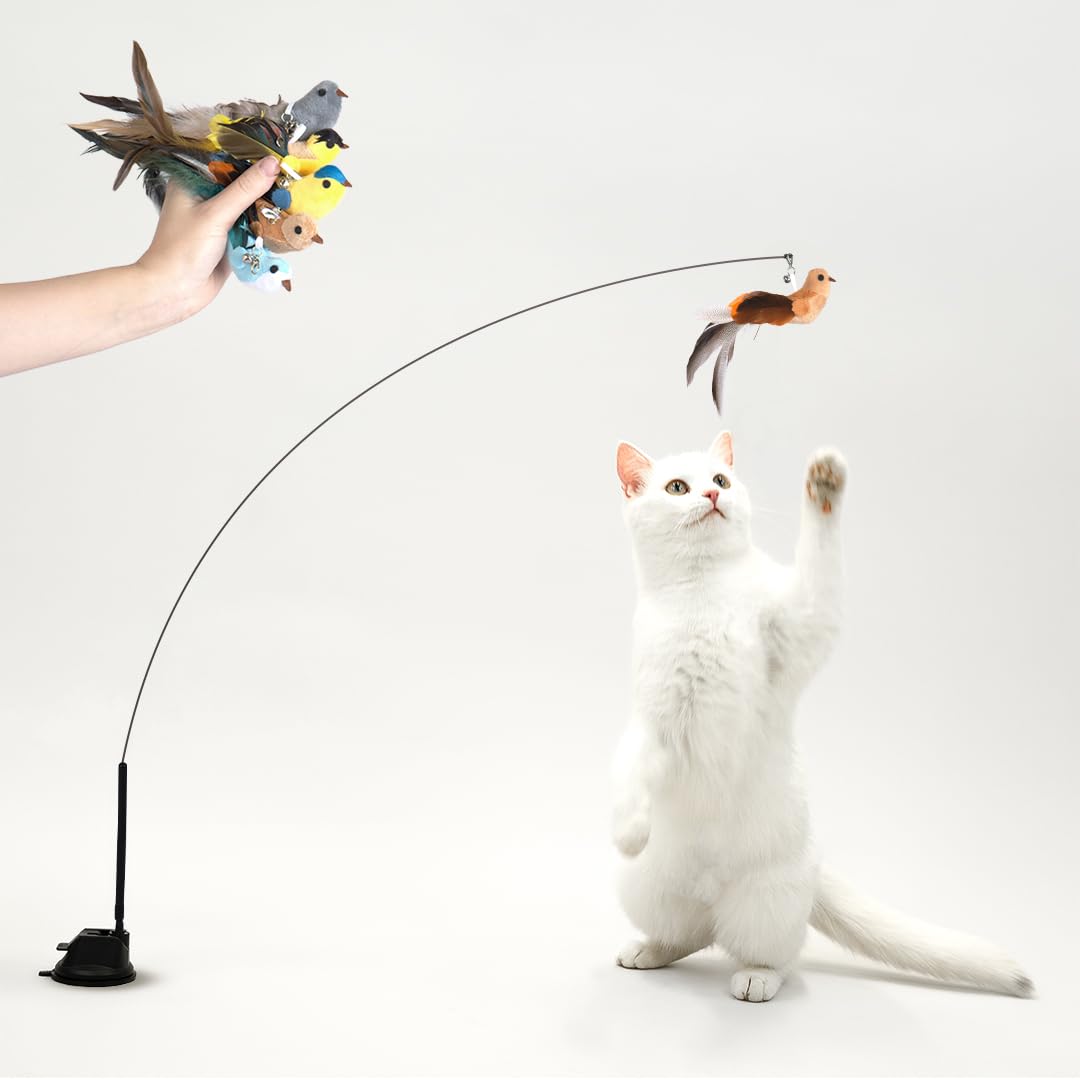 Leo's Paw The Original Interactive Bird Simulation Cat Toy Set Realistic Colorful Feathers Bells Wand Self-Holding Suction Base Stimulating Real-Life