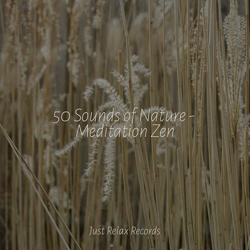 Amazon MusicでZEN, Rest & Relax Nature Sounds Artists & Pro Sound