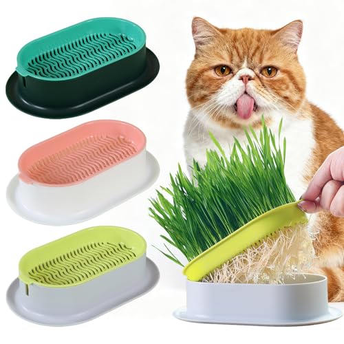 Ulawellor 3 Pezzi Ciotole Vaso per Erba Gatta Germinazione Idroponico Senza Terra Facile da Coltivare Riutilizzabile per Uso Interno Balcone Terrazza