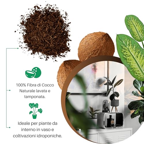 GebEarth® Fibra di Cocco 100% Naturale 1L | Lavata e Tamponata | Per Piante in Vaso e Coltivazioni Idroponiche