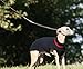 Dingo Ringleine für Hundeausstellung aus Naturleder 0,6 cm x 150 cm 10704