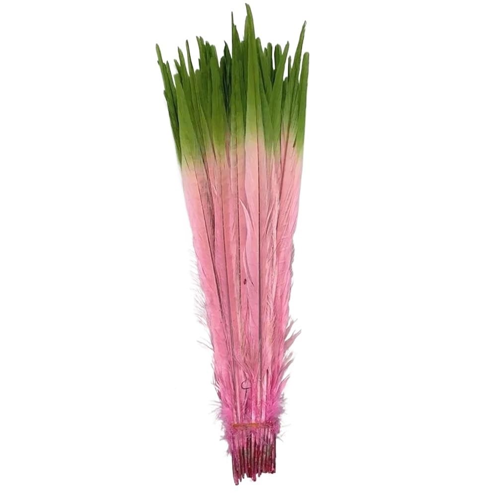 Natural Pheasant Feathers, Natural Ringneck Pheasant Feathers 100 pcs Multicolor 40-45 Centimeters