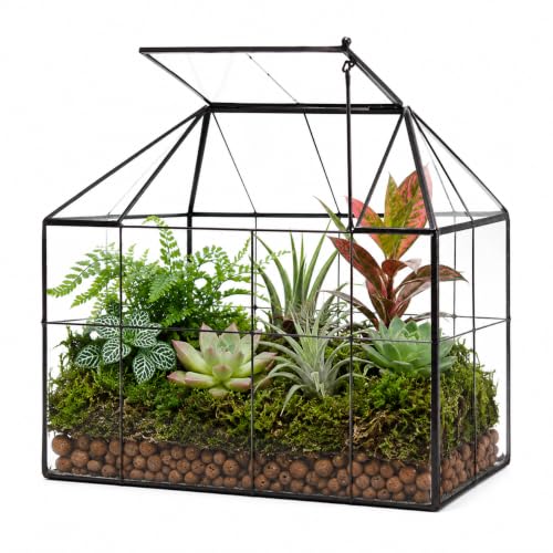 YIMORENCE Large Glass House Terrarium